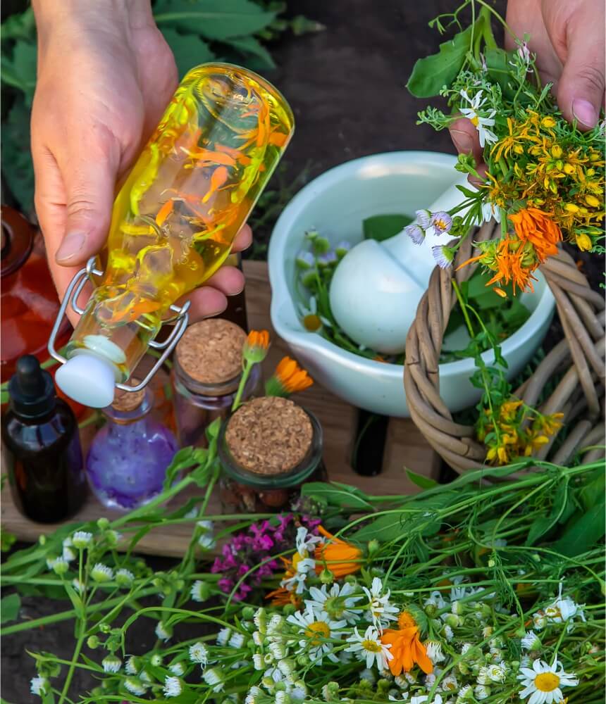 herbolariotierramadre img10